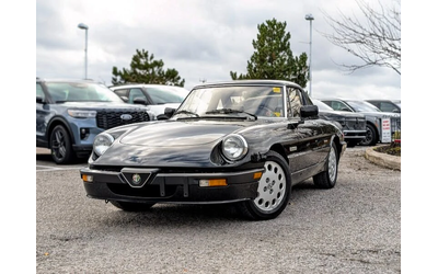 alfa-romeo-spider - 0
