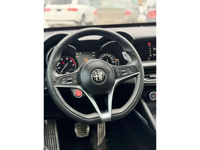 Alfa Romeo Stelvio - автомобили, коли, обяви за нови и употребявани 9