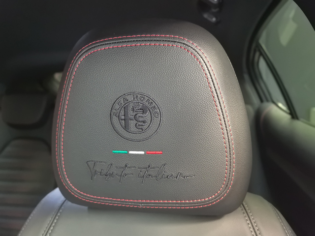 Alfa Romeo Stelvio TI 2.2 Diesel 210 hp AT8 Q4 - автомобили, коли, обяви за нови и употребявани 15