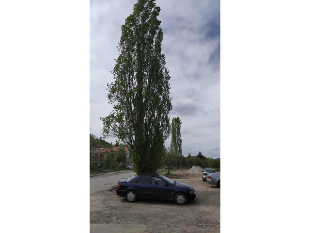 Audi A4 Audi A4 Ауди А4 В5 125 к.с Седан 1995 г. Бензин. Всичко е платено - автомобили, коли, обяви за нови и употребявани 6