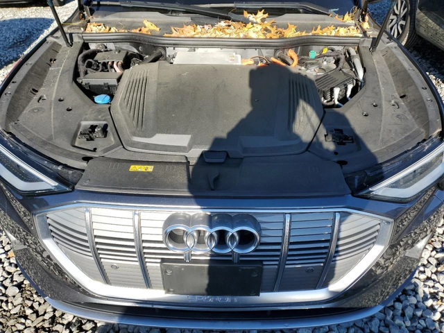 Audi E-Tron PRESTIGE - автомобили, коли, обяви за нови и употребявани 11