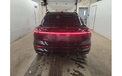 audi-e-tron - 5