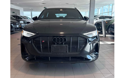 audi-e-tron - 5