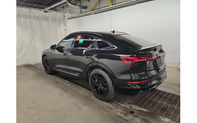 audi-e-tron - 5