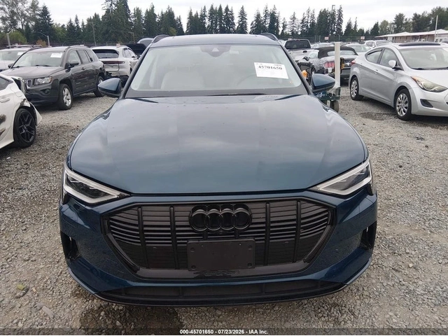 Audi E-Tron Premium Plus quattro - автомобили, коли, обяви за нови и употребявани 9