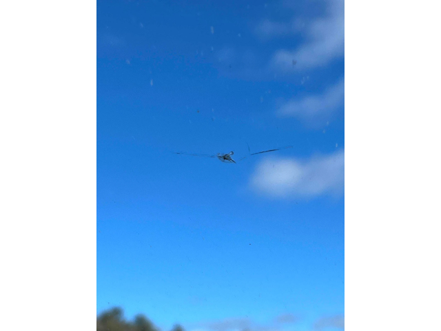 Audi Q8 Progressiv С РЕГИСТРАЦИЯ & АВТО КРЕДИТ - автомобили, коли, обяви за нови и употребявани 12