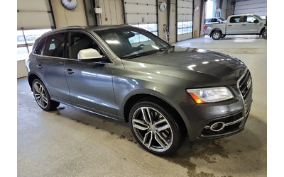audi-sq5 - 1
