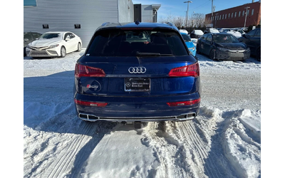 audi-sq5 - 3