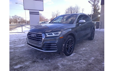 audi-sq5 - 0