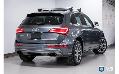 audi-sq5 - 3
