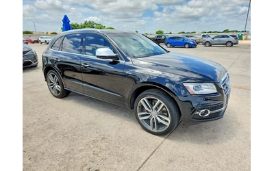 audi-sq5 - 3