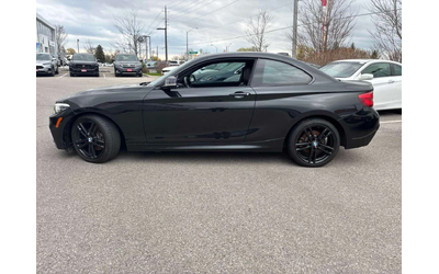 bmw-230 - 2