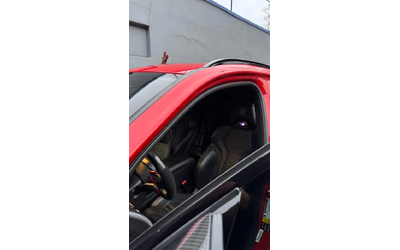 BMW X4 М Competition С РЕГИСТРАЦИЯ & АВТО КРЕДИТ - автомобили, коли, обяви за нови и употребявани 11