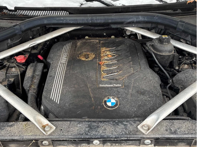 BMW X5 * xDrive40i * CARFAX * ЦЕНА ДО БГ - автомобили, коли, обяви за нови и употребявани 13