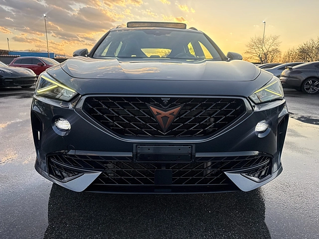 Cupra Formentor 2.0d-4x4-Panorama-Distronik-Kamera-Led-Bixenon-Ful - автомобили, коли, обяви за нови и употребявани 0