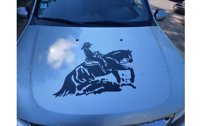 Dacia Duster 1,5dci 110ps 4X4 - автомобили, коли, обяви за нови и употребявани 14