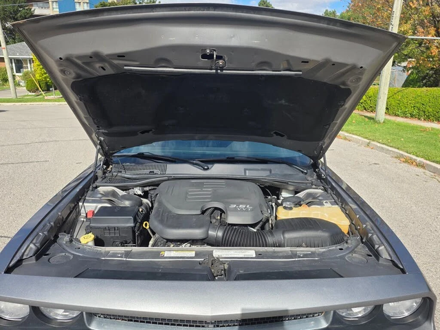 Dodge Challenger SXT Plus RWD - автомобили, коли, обяви за нови и употребявани 15