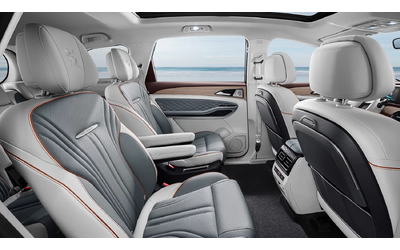 dongfeng-m4-forthing-m4 - 2