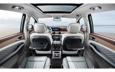 dongfeng-m4-forthing-m4 - 3