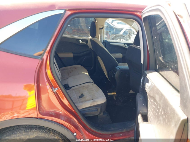 Ford Escape 1.5L I-3 DI, DOHC, VVT, TURBO, 181HP Front Wheel Drive - автомобили, коли, обяви за нови и употребявани 7