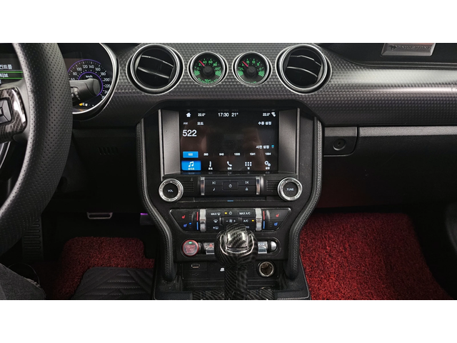 Ford Mustang GT 5.0 autogeorge.com - автомобили, коли, обяви за нови и употребявани 13