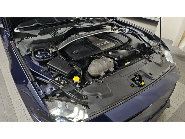 Ford Mustang GT 5.0 autogeorge.com - автомобили, коли, обяви за нови и употребявани 5