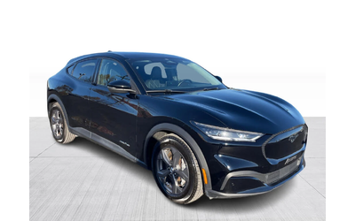 ford-mustang-mach-e - 0