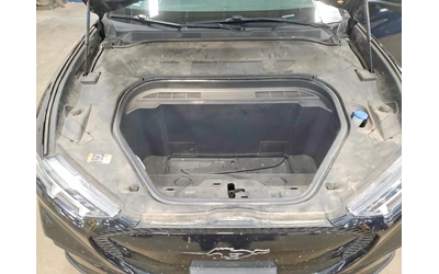 Ford Mustang Mach-E Select - автомобили, коли, обяви за нови и употребявани 11