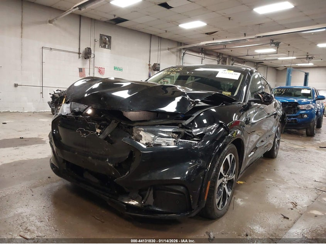 Ford Mustang Mach-E N All Wheel Drive - автомобили, коли, обяви за нови и употребявани 5