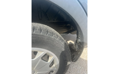 Ford Transit - автомобили, коли, обяви за нови и употребявани 16