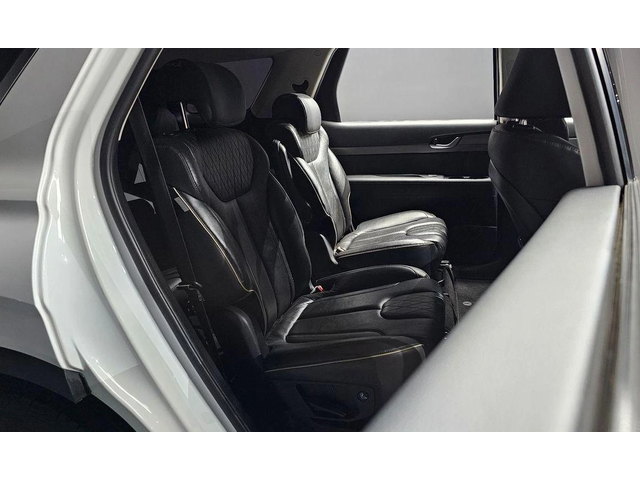 Hyundai Palisade Diesel 2.2 4WD Exclusive - автомобили, коли, обяви за нови и употребявани 12