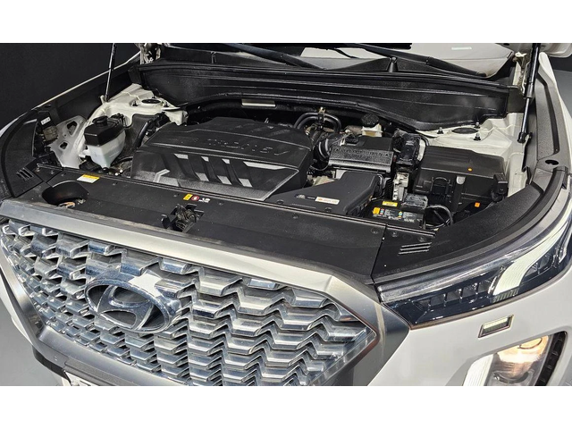 Hyundai Palisade Diesel 2.2 4WD Exclusive - автомобили, коли, обяви за нови и употребявани 5