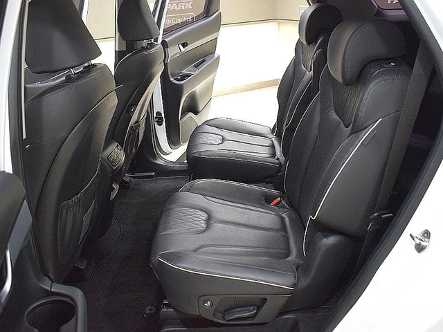 Hyundai Palisade Diesel 2.2 2WD Exclusive - автомобили, коли, обяви за нови и употребявани 10