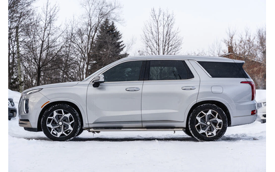 hyundai-palisade - 3