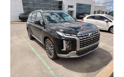 hyundai-palisade - 2