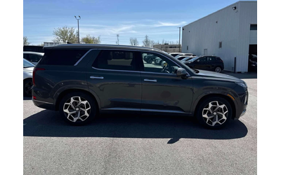 hyundai-palisade - 2
