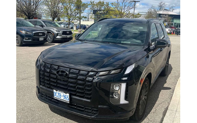 hyundai-palisade - 0
