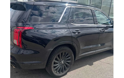 hyundai-palisade - 2