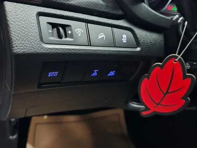 Hyundai Santa fe 2.2 4Wd Exclusive Special - автомобили, коли, обяви за нови и употребявани 15