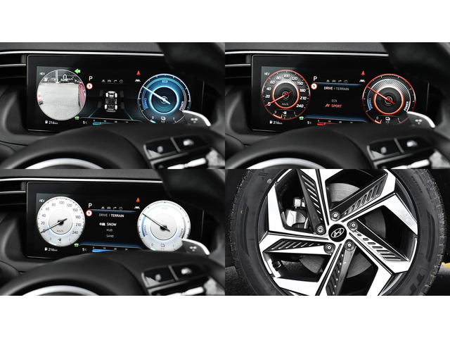 Hyundai Tucson 1.6 T-GDi PREMIUM Plug-in Hybrid 4x4 Automatic - автомобили, коли, обяви за нови и употребявани 16