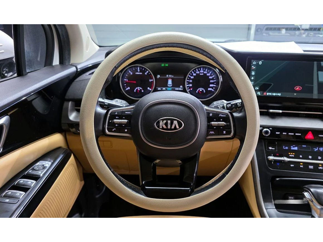 Kia Carnival - автомобили, коли, обяви за нови и употребявани 12