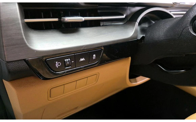 Kia Carnival - автомобили, коли, обяви за нови и употребявани 14