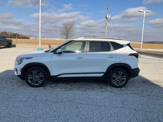 Kia Seltos EX AWD* АвтоКредит* (Цена до БГ) - автомобили, коли, обяви за нови и употребявани 8