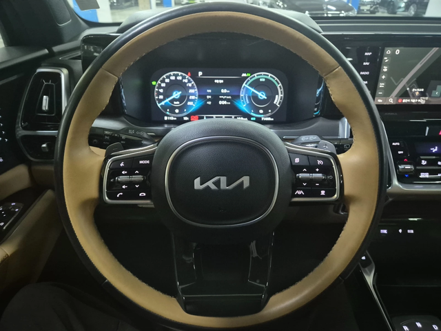 Kia Sorento HEV 1.6* Camera* CarPlay* АВТОКРЕДИТ - автомобили, коли, обяви за нови и употребявани 11