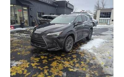 lexus-nx - 0