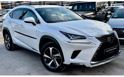 lexus-nx-300h - 2