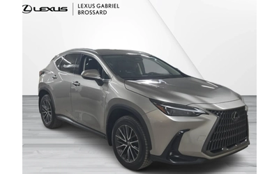 lexus-nx-350h - 2