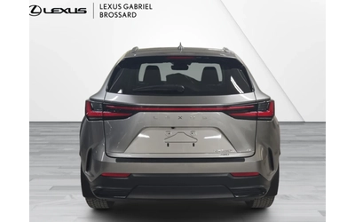 lexus-nx-350h - 4