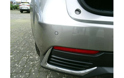 Lexus NX 300h Executive E-Four - автомобили, коли, обяви за нови и употребявани 10