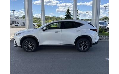 lexus-nx - 2